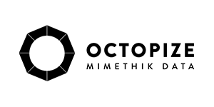 Octopize Mimethik Data